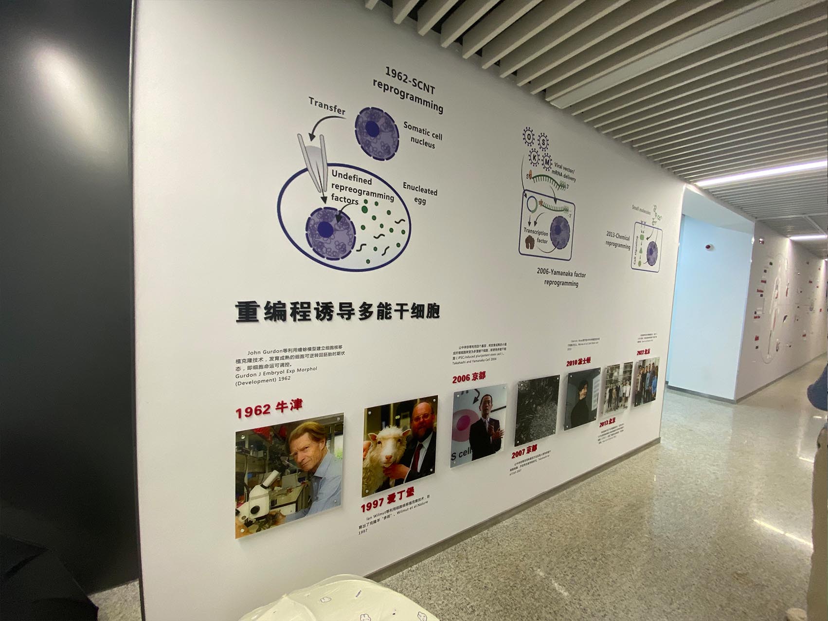 墻布文化墻-宣絨布文化墻-(圖1) 墻布文化墻-宣絨布文化墻-(圖1)