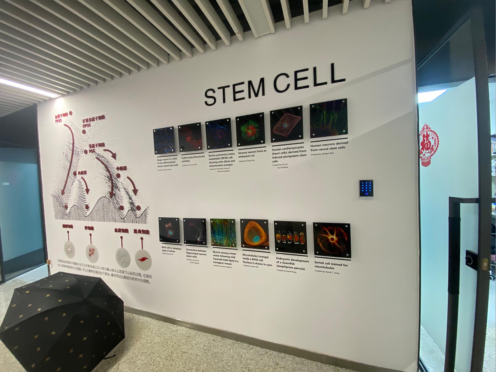 墻布文化墻-企業(yè)文化墻-公司文化墻-過道文化墻(圖1) 墻布文化墻-宣絨布文化墻-(圖2)